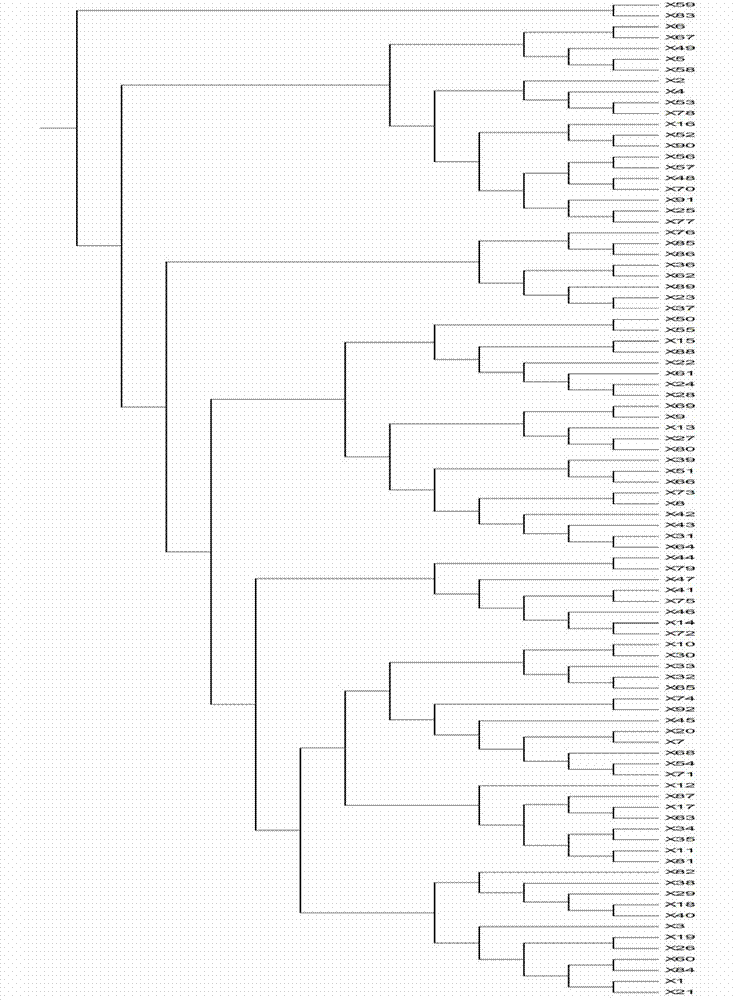 Method for constructing wheat SSR (single sequence repeat) fingerprint