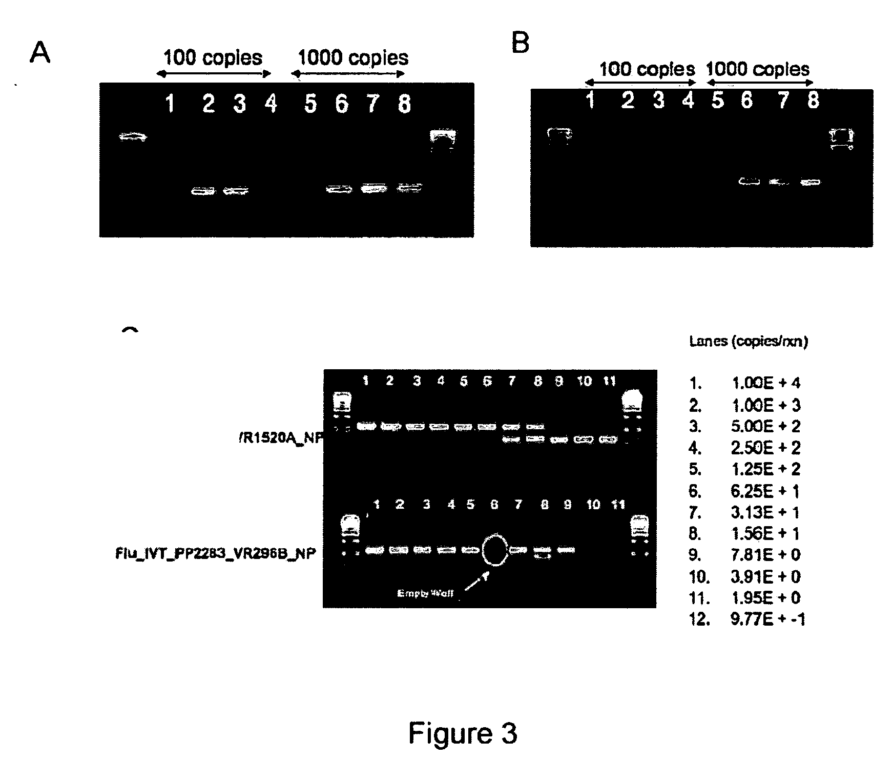 Compositions for use in identification of influenza viruses