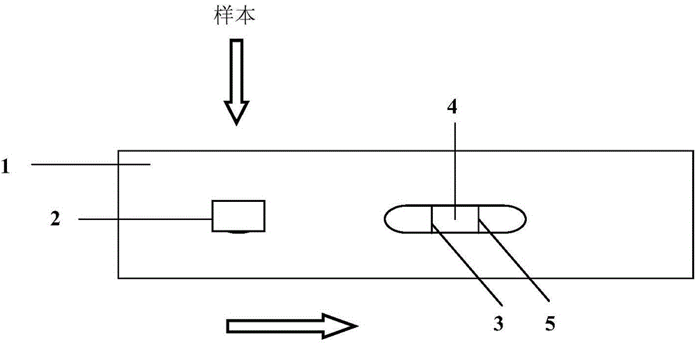 Test paper card for detecting pseudorabies virus gE protein antibody in porcine serum as well as preparation method and application thereof