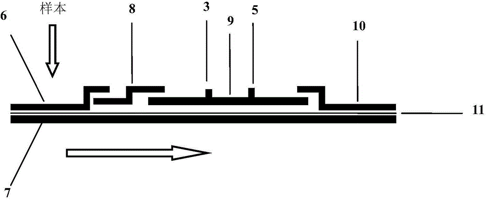 Test paper card for detecting pseudorabies virus gE protein antibody in porcine serum as well as preparation method and application thereof