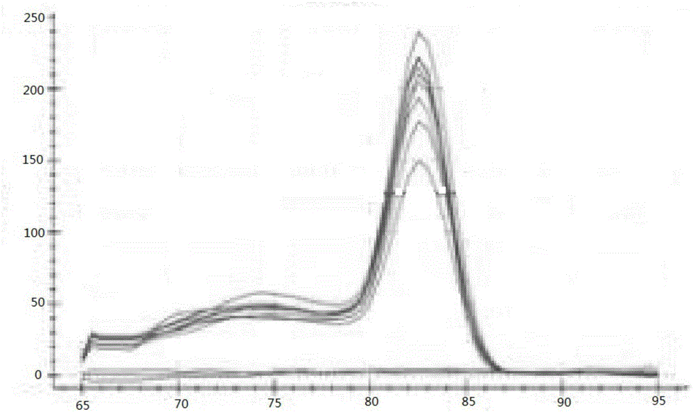 Antrodia cinnamomea housekeeping gene sequence, qRT-PCR (quantitative real-time polymerase chain reaction) amplification primer, amplification method and screening method