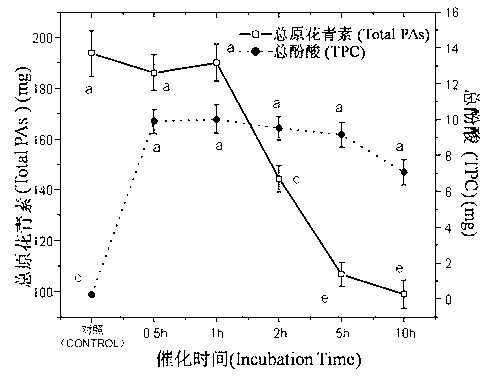 Enzyme method for accelerating red wine aging