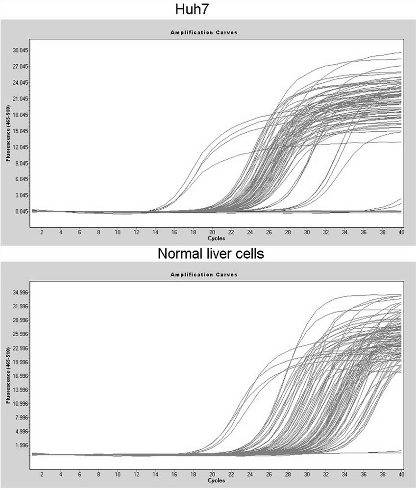 PCR reagent for detecting gene expression of cell angiogenesis signal path and application thereof