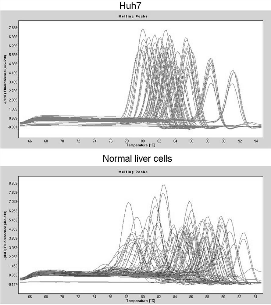 PCR reagent for detecting gene expression of cell angiogenesis signal path and application thereof