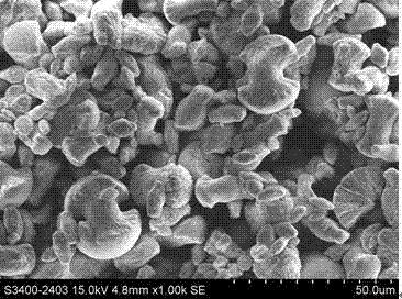 Method for regulation and control of morphology of amino acid / rare earth coordination polymer by using surfactant