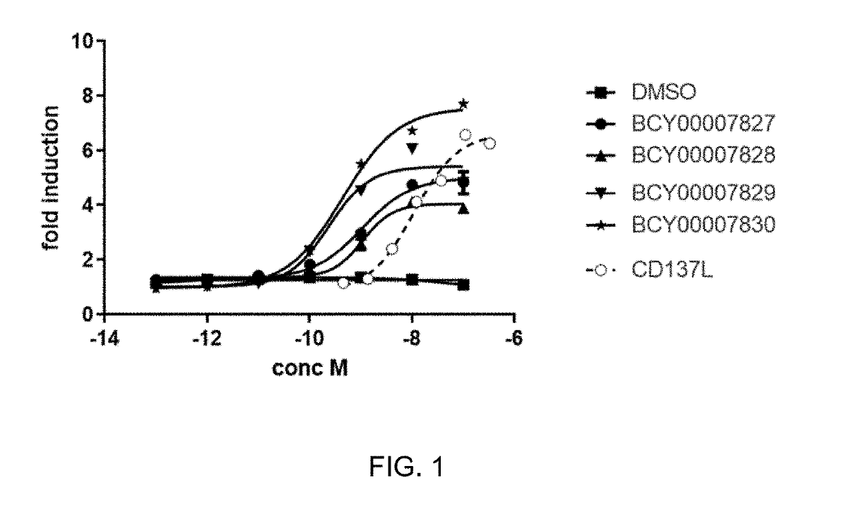 Multimeric bicyclic peptide ligands