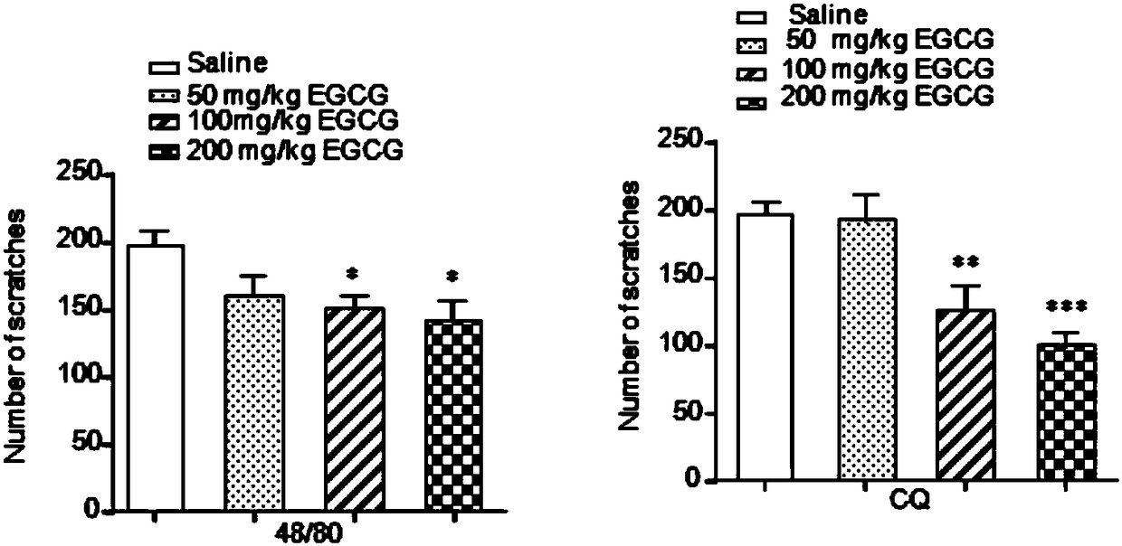 Application of epigallocatechin gallate