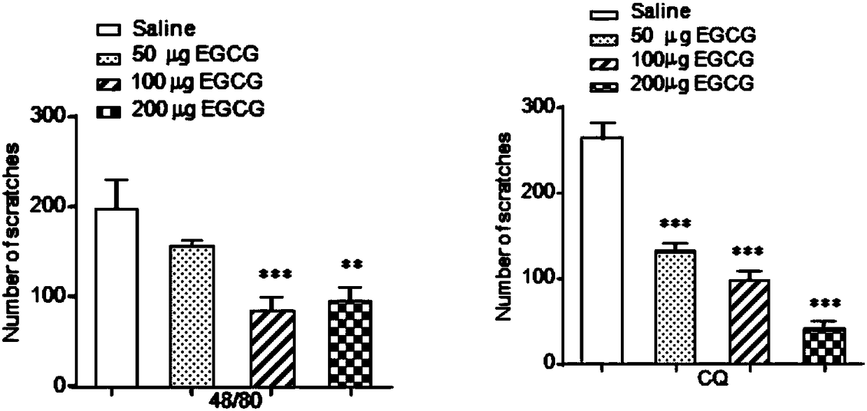 Application of epigallocatechin gallate