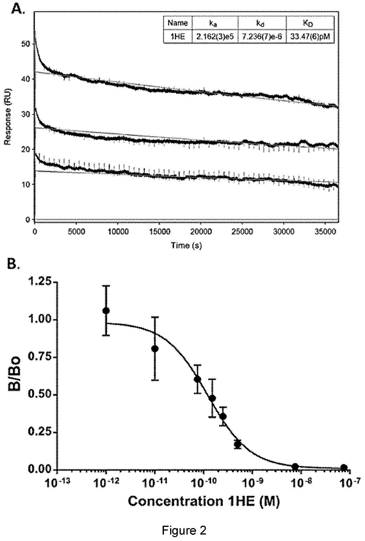 Compositions and methods for improving tumor penetration of tumor specific antibodies