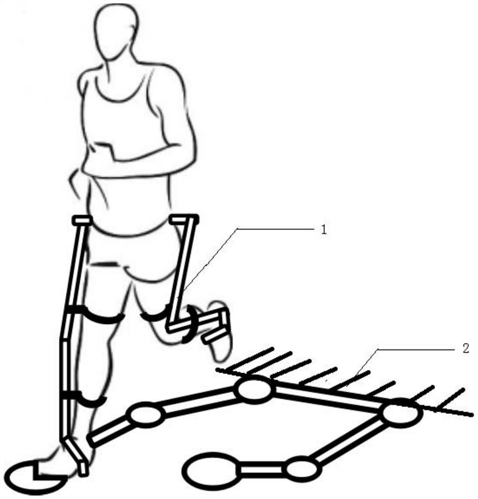 Universal movement device for human lower limbs and control method thereof