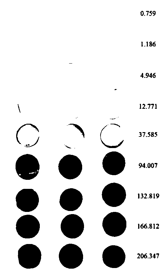 Method for determining two-dimensional distribution of available phosphorus content