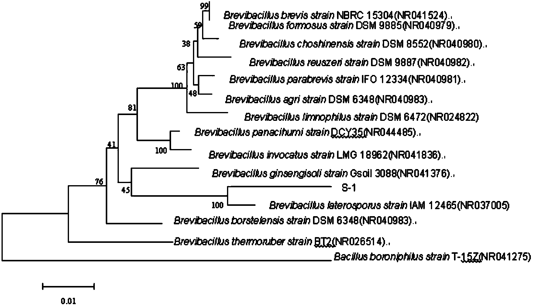 Bacillus marinus S-1 and anti-tumor active polypeptide produced thereby