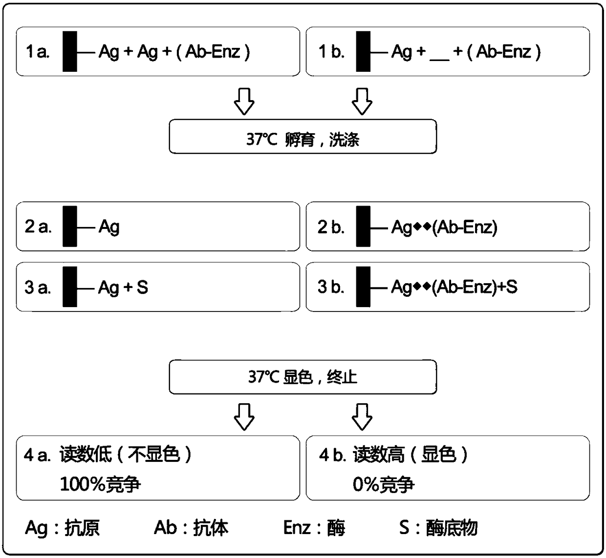 A real-time assay method and kit for methyltransferase activity