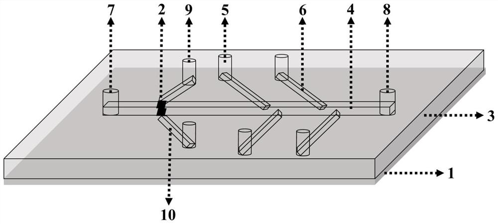 Micro-fluidic chip for sorting sperms