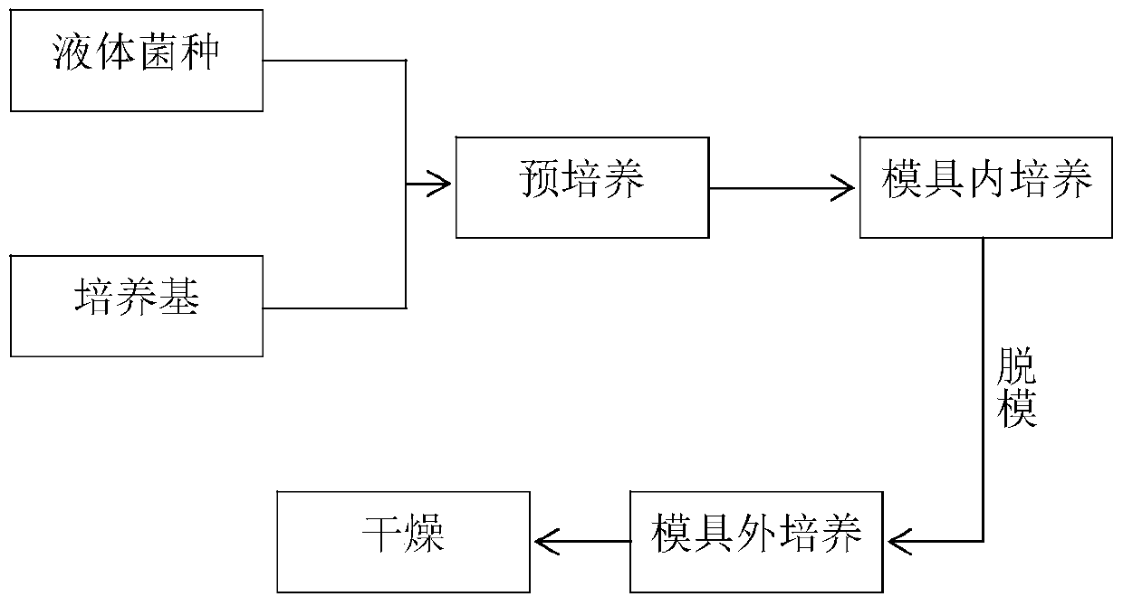 A strain of tearing cereus and its cultivation method and application