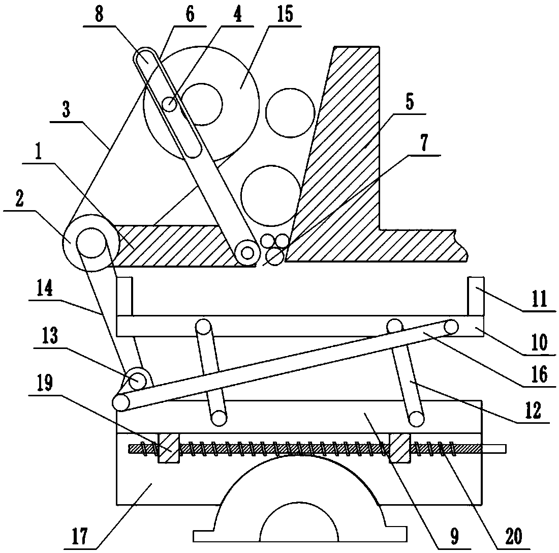 Culture method of radix scrophulariae