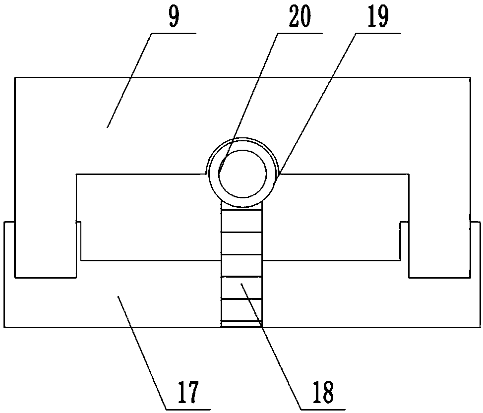 Culture method of radix scrophulariae