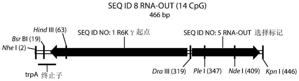 Producing improved viral and non-viral nanoplasmid vectors