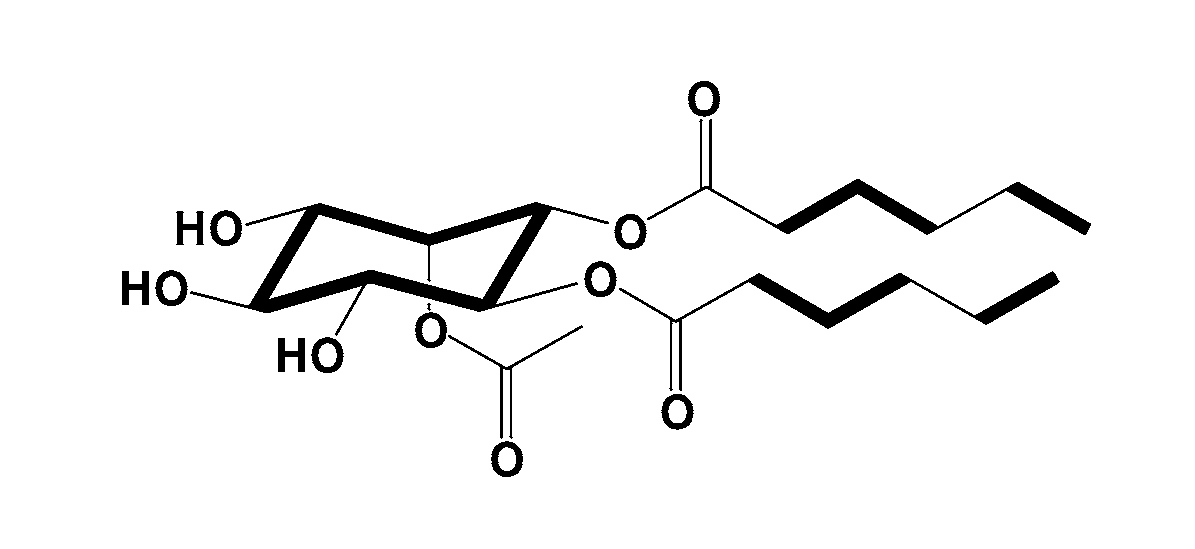 Biosurfactant Isolated from Yeast