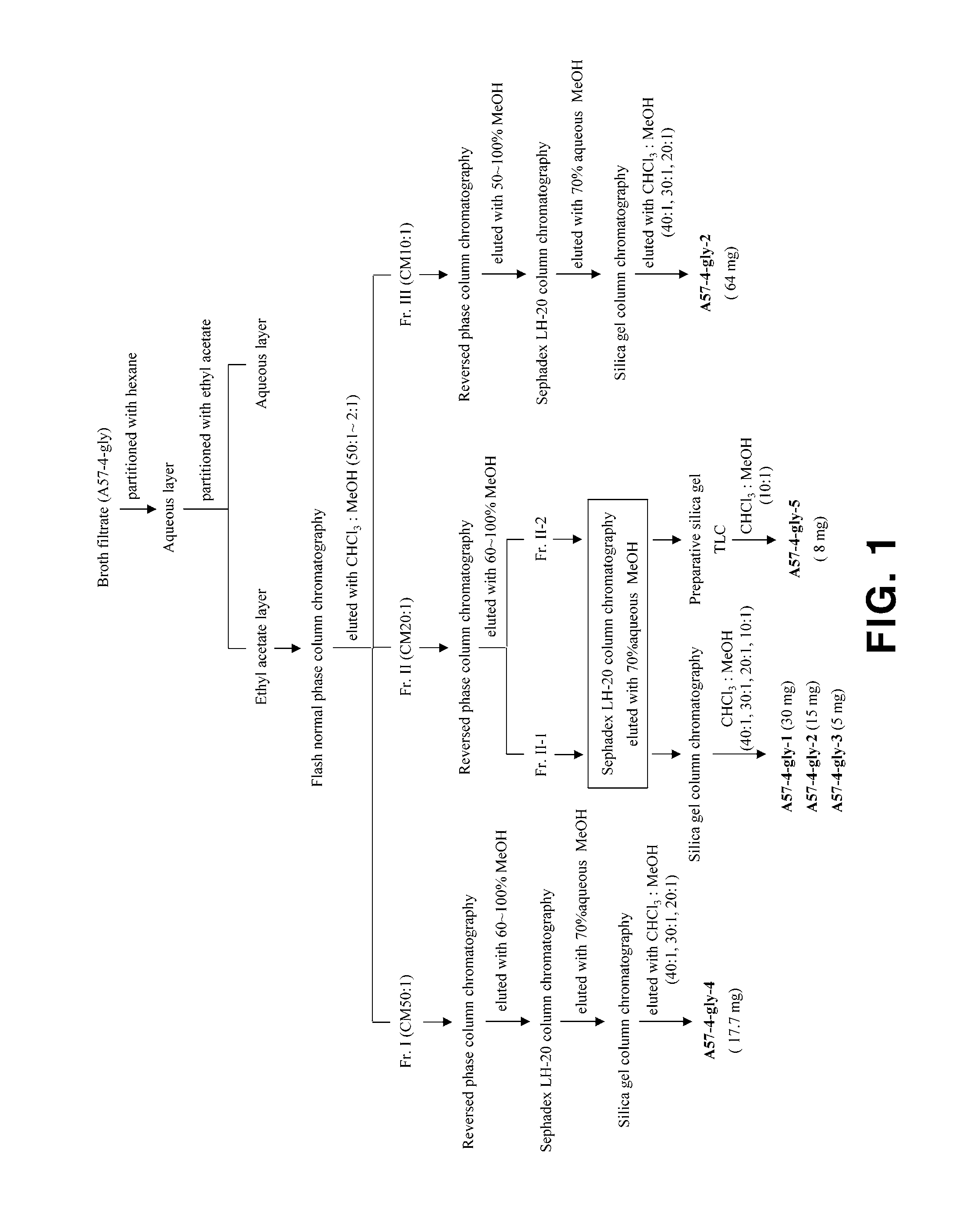 Biosurfactant Isolated from Yeast