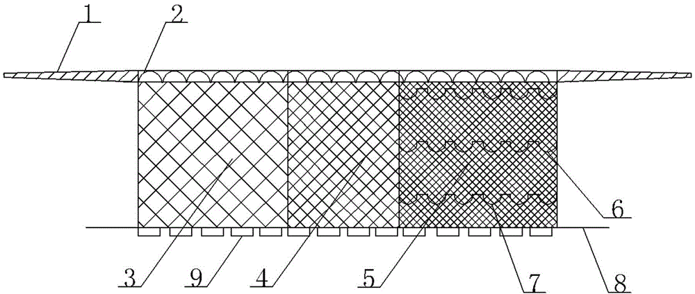 Three-layer gill net for capturing silver carp and bighead carp