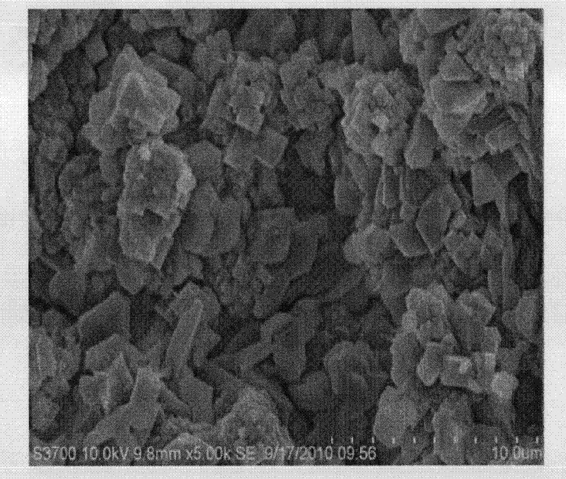 Method for synthesizing phi-type molecular sieve membrane on the surface of α-al2o3 support