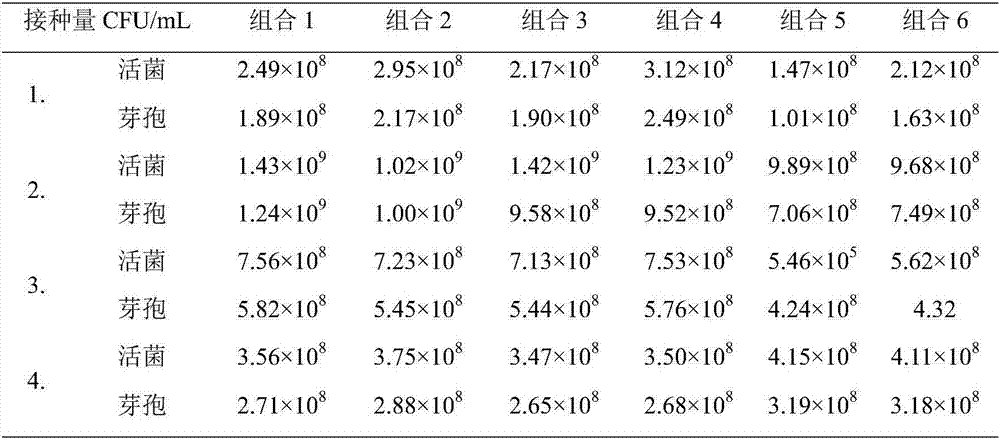 Bacillus coagulans mixed strain fermentation bean food and preparation method thereof