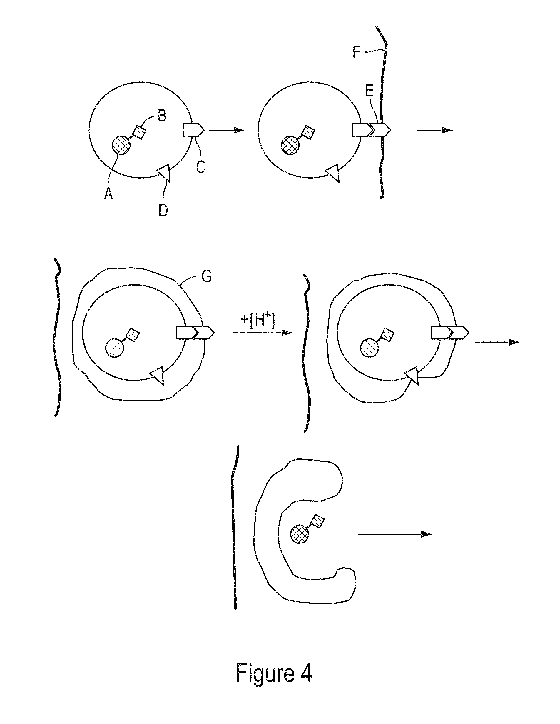 Cells Having A Spectral Signature And Methods Of Preparation And Use Thereof