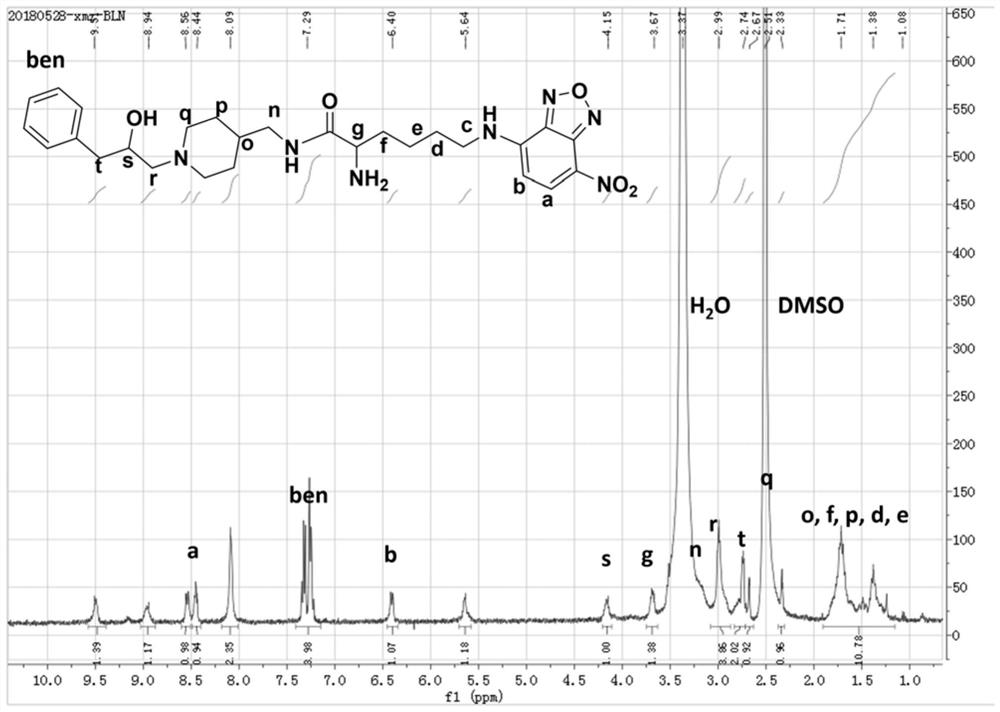 Fluorescent probe as well as preparation method and application thereof