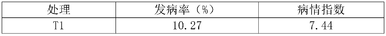 Biological organic fertilizer with biocontrol function and specially developed for rape by utilizing rape straw, and preparation method thereof