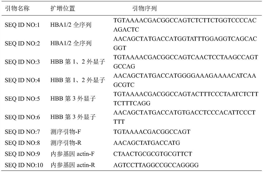 Reagent, method and kit for detecting rare mutation of thalassemia gene