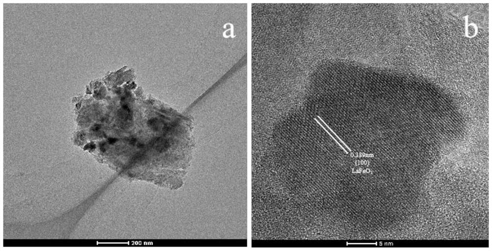 Waste water organic pollutant degradation system based on perovskite three-dimensional electrode