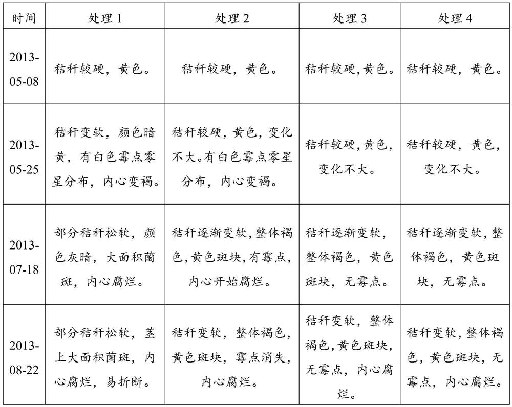 Biological decomposition agent based on waste edible fungus nutrition bag base material and preparation method of biological decomposition agent