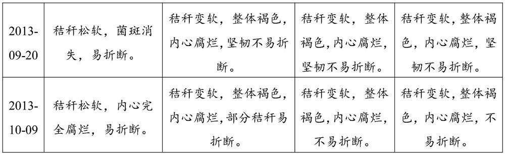 Biological decomposition agent based on waste edible fungus nutrition bag base material and preparation method of biological decomposition agent