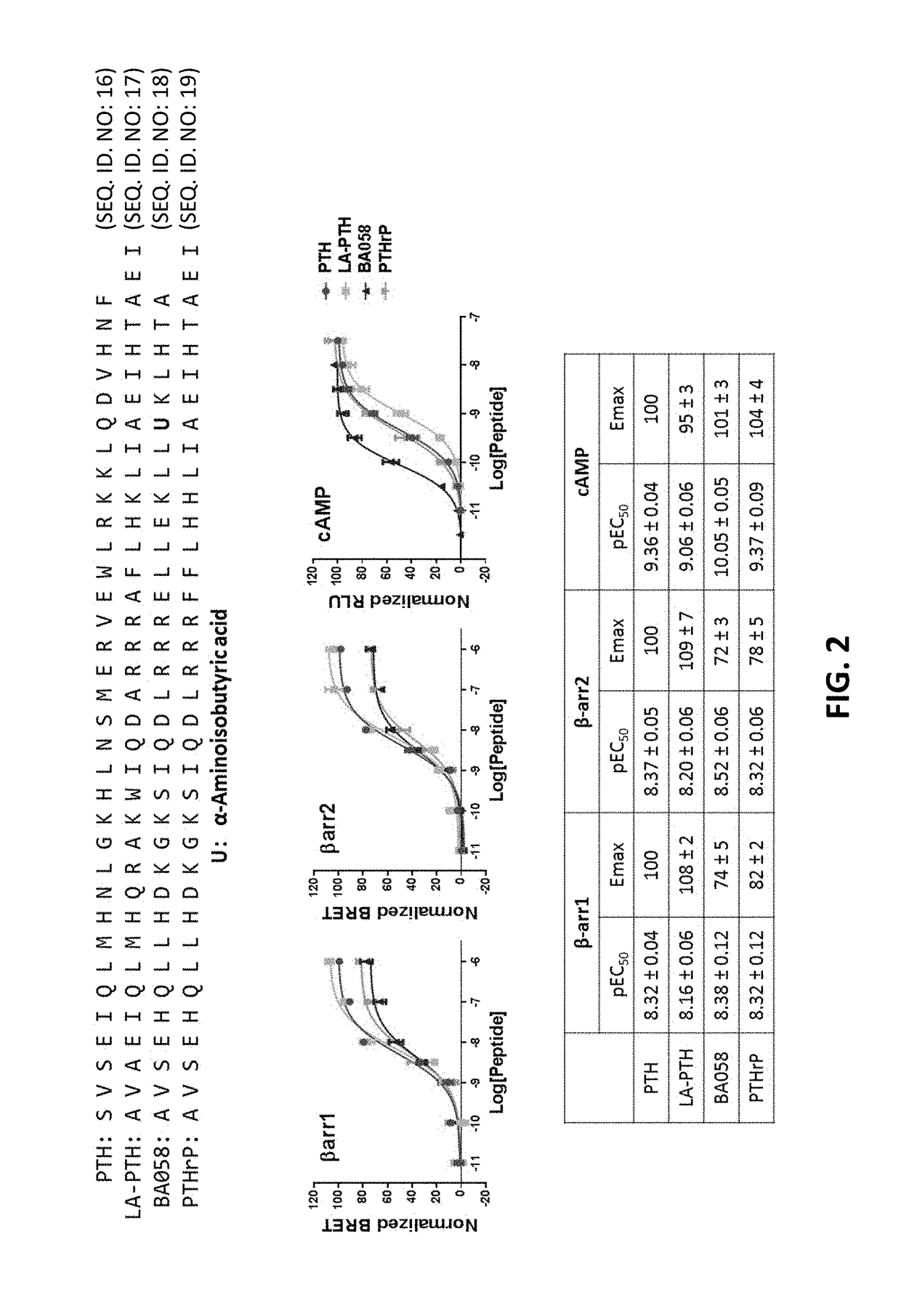 Analogues of parathyroid hormone (1-34) that function as agonists of the parathyroid hormone receptor-1 and display modified activity profiles