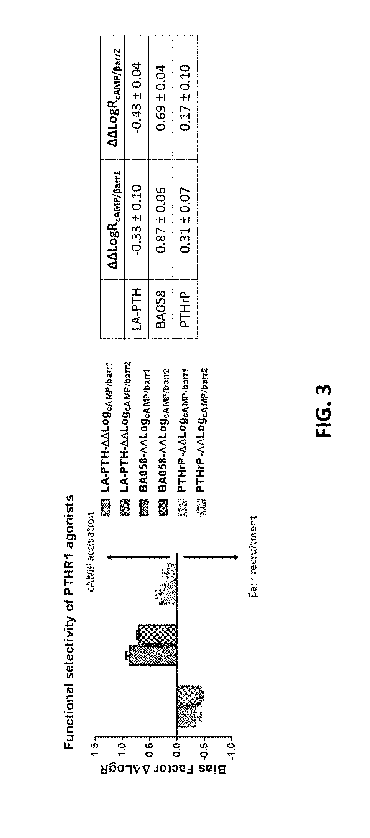 Analogues of parathyroid hormone (1-34) that function as agonists of the parathyroid hormone receptor-1 and display modified activity profiles