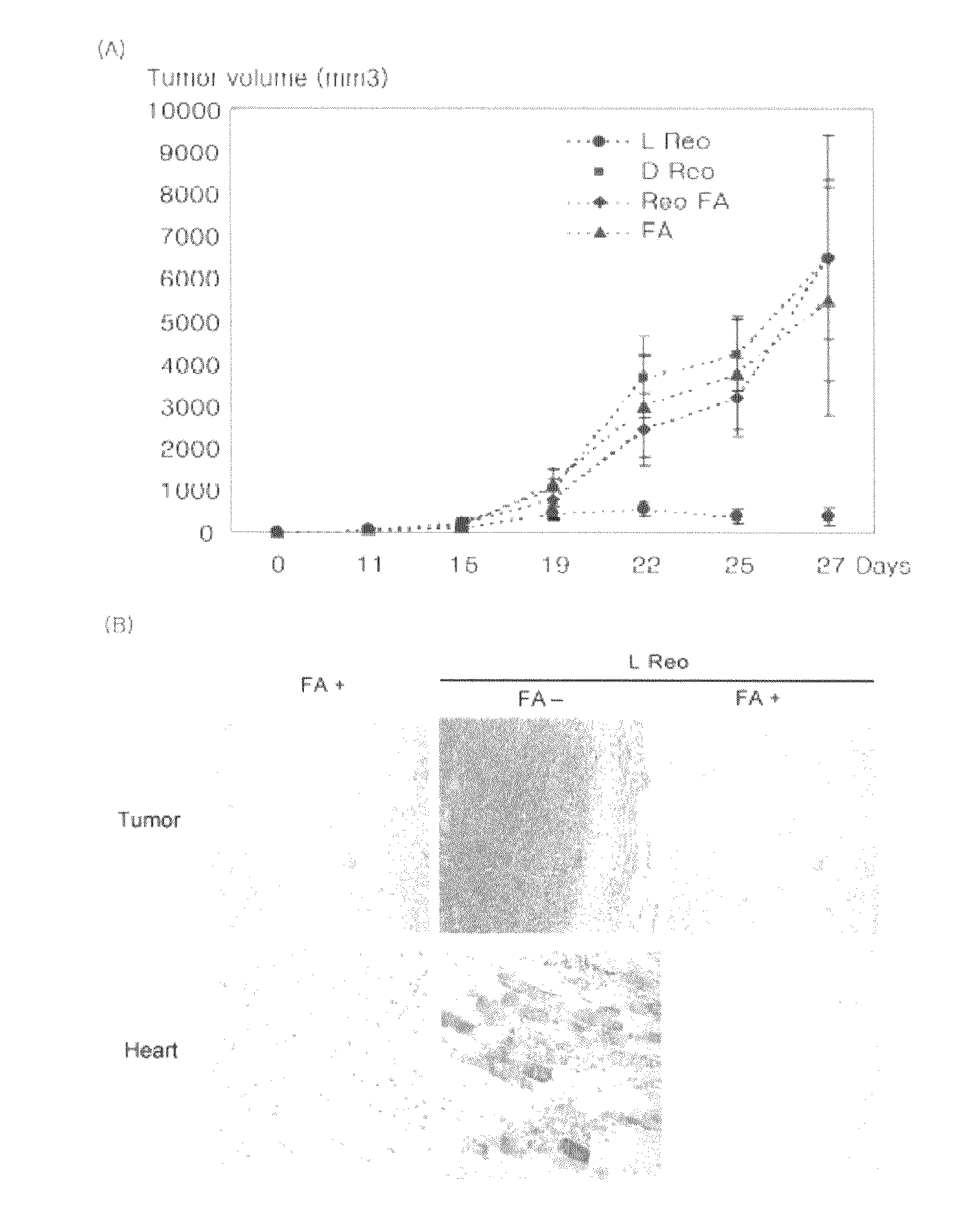 Inhibition of viral replication