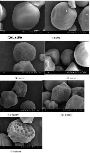 Method for preparing modified starch by utilizing ozonation