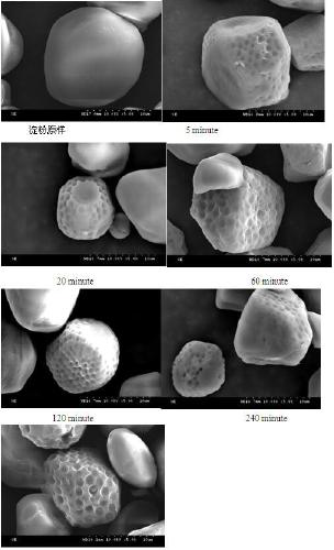 Method for preparing modified starch by utilizing ozonation