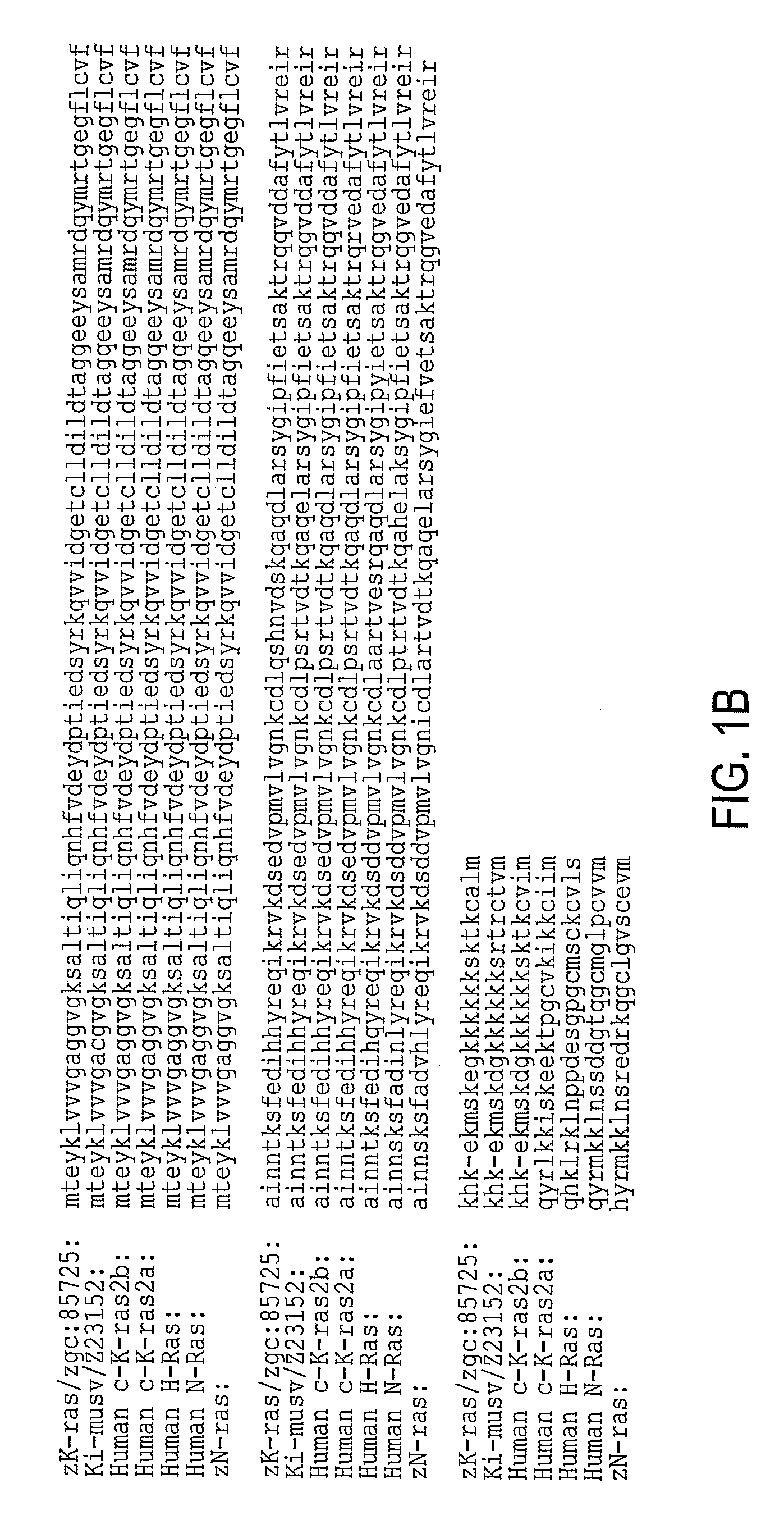 Fish Cancer Model