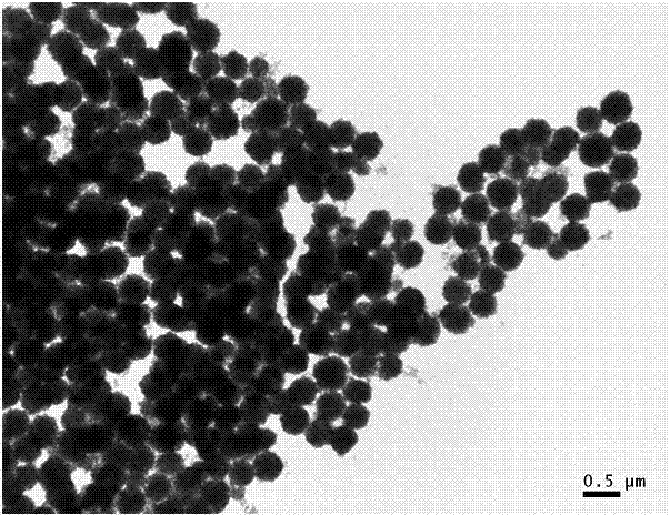 Preparation method of rare earth complex grafted luminescent titanium dioxide mesoporous microsphere