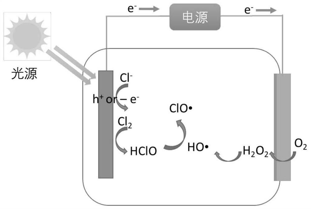 Method for treating aquaculture seawater tail water based on free radicals generated by photoelectrocatalysis