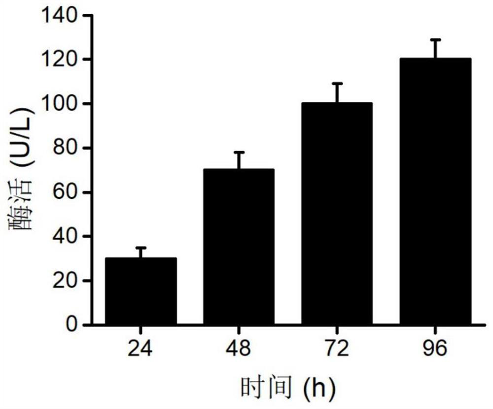 Food-grade safe saccharomycetes for producing chondroitin sulfate lyase ABCI and application of food-grade safe saccharomycetes