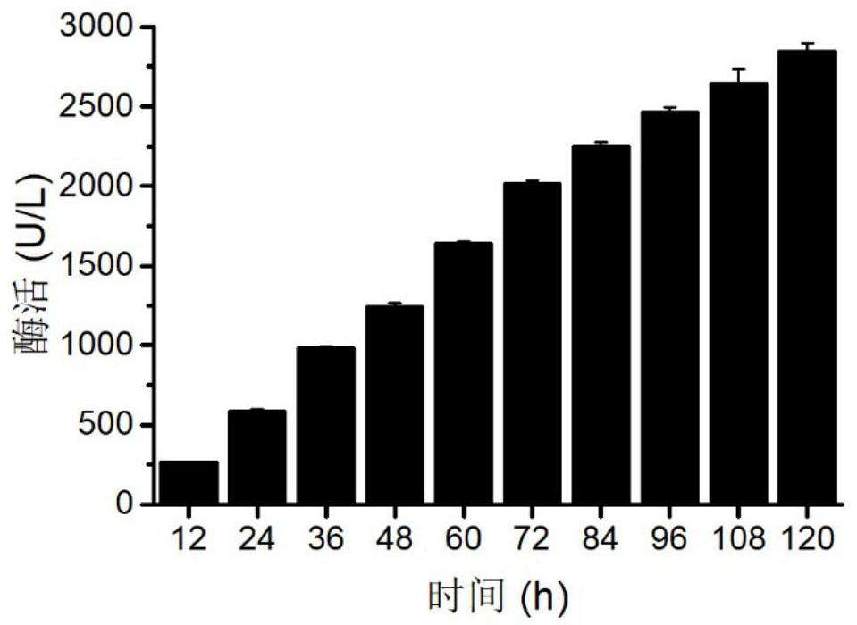 Food-grade safe saccharomycetes for producing chondroitin sulfate lyase ABCI and application of food-grade safe saccharomycetes