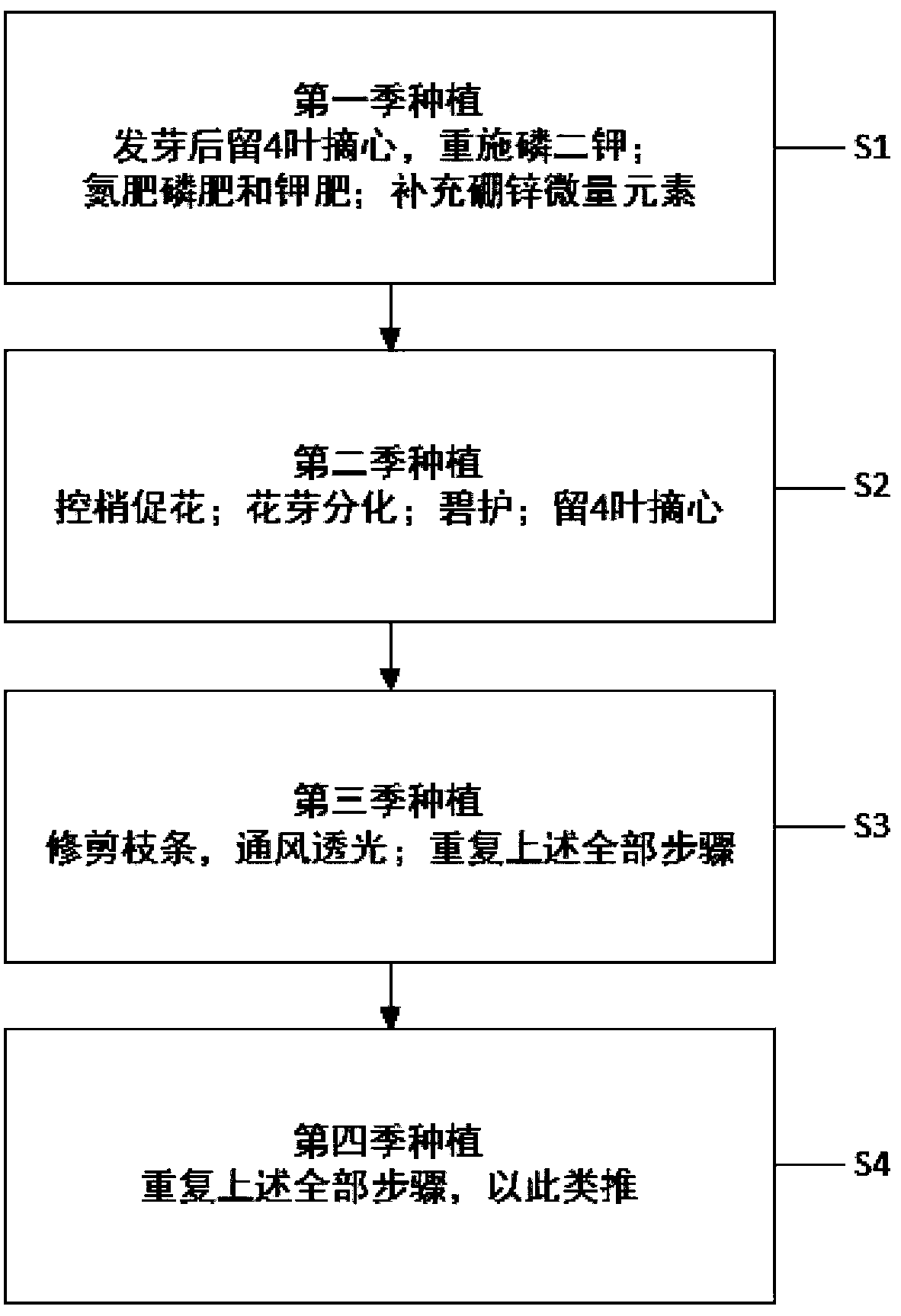 Planting method of single-year multi-season production of Morus macroura