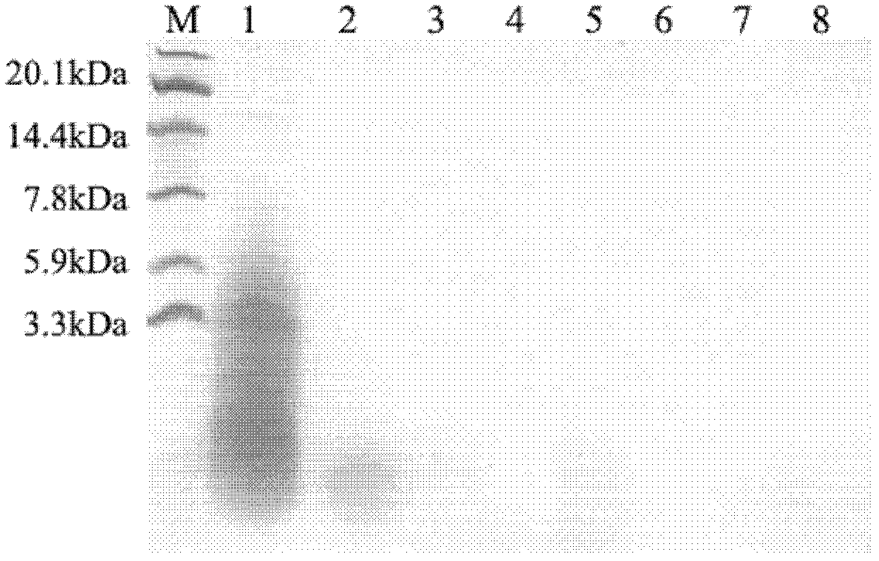 Polypeptide with function of lowering blood pressure and application thereof