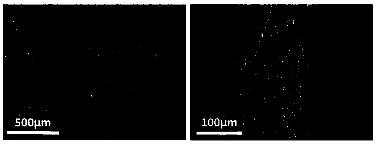 A kind of inorganic fire-resistant paper and its preparation method and application