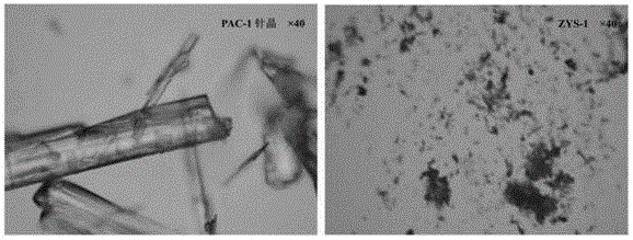 Compound PAC-1 or salt thereof, and medicinal composition containing compound or salt thereof