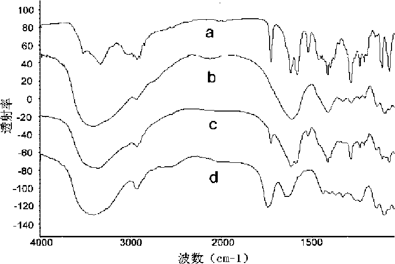 Passive targeting antitumor prodrug of solid tumor and preparation method thereof