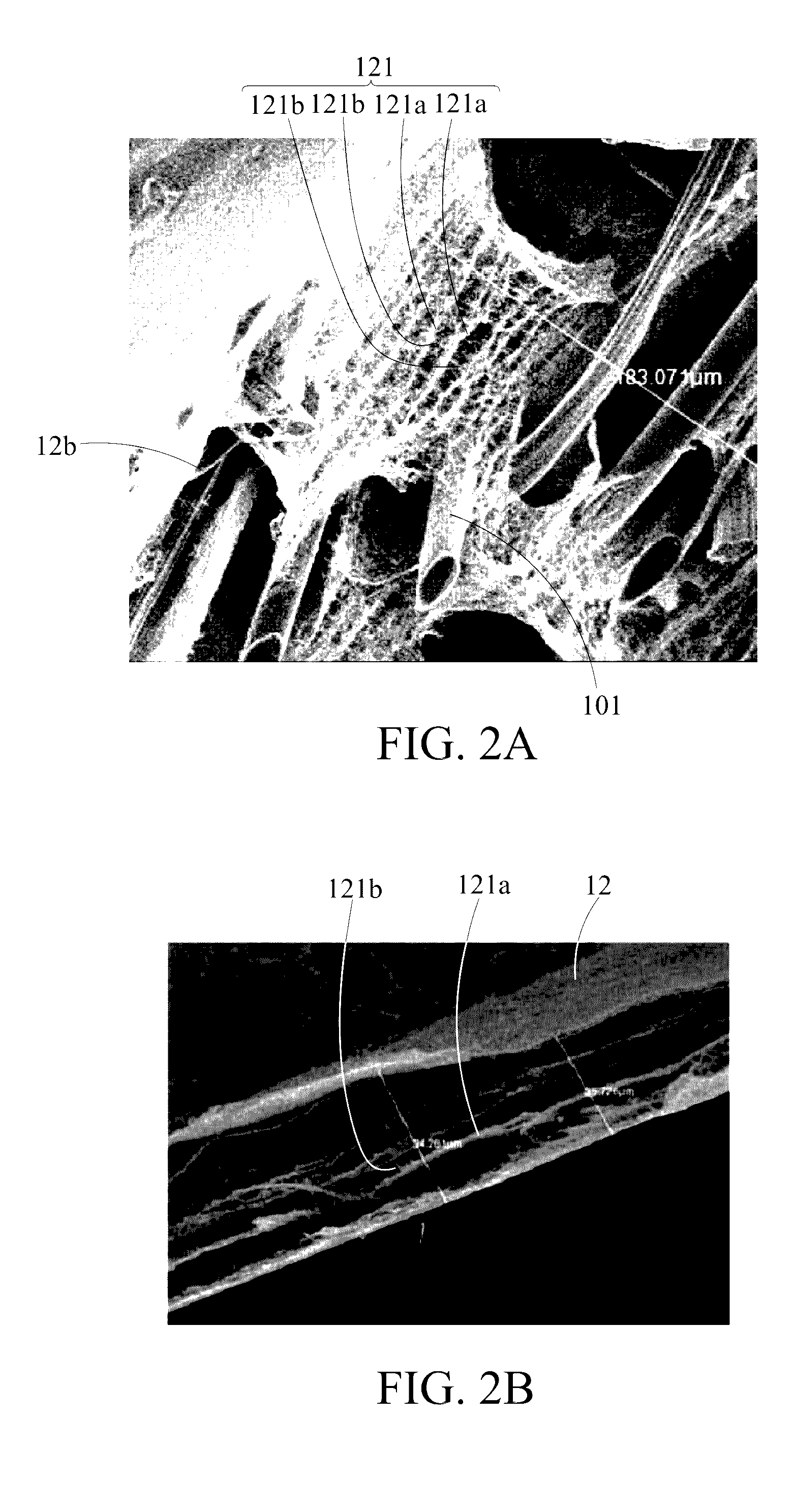 Biological fiber composite dressing